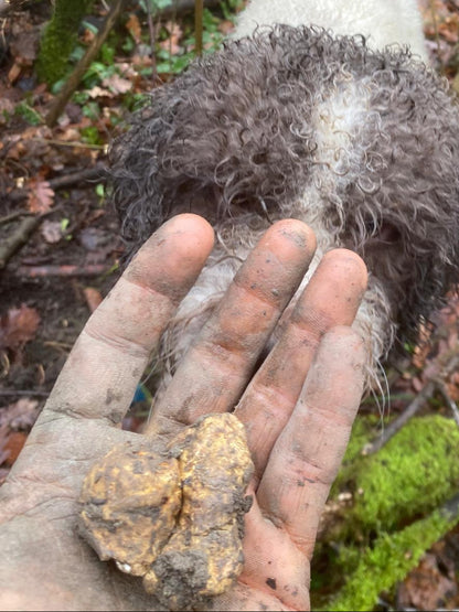 Tartufo Bianco Pregiato