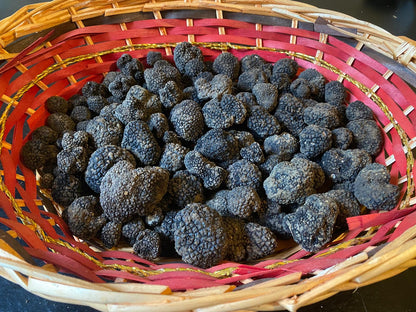 Tartufo nero estivo