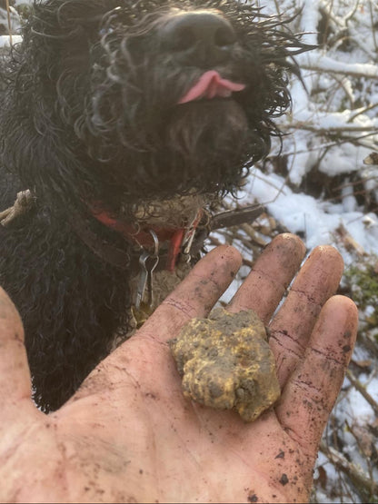 Tartufo Bianco Pregiato
