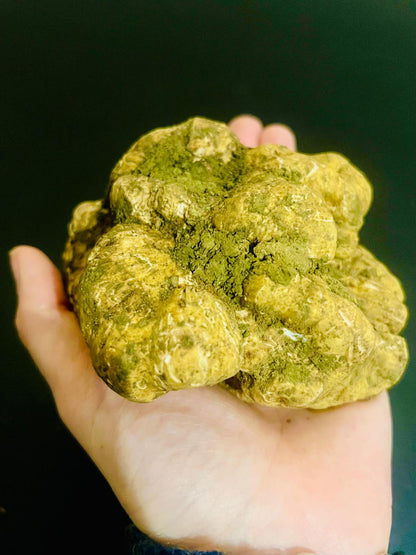 Tartufo Bianco Pregiato