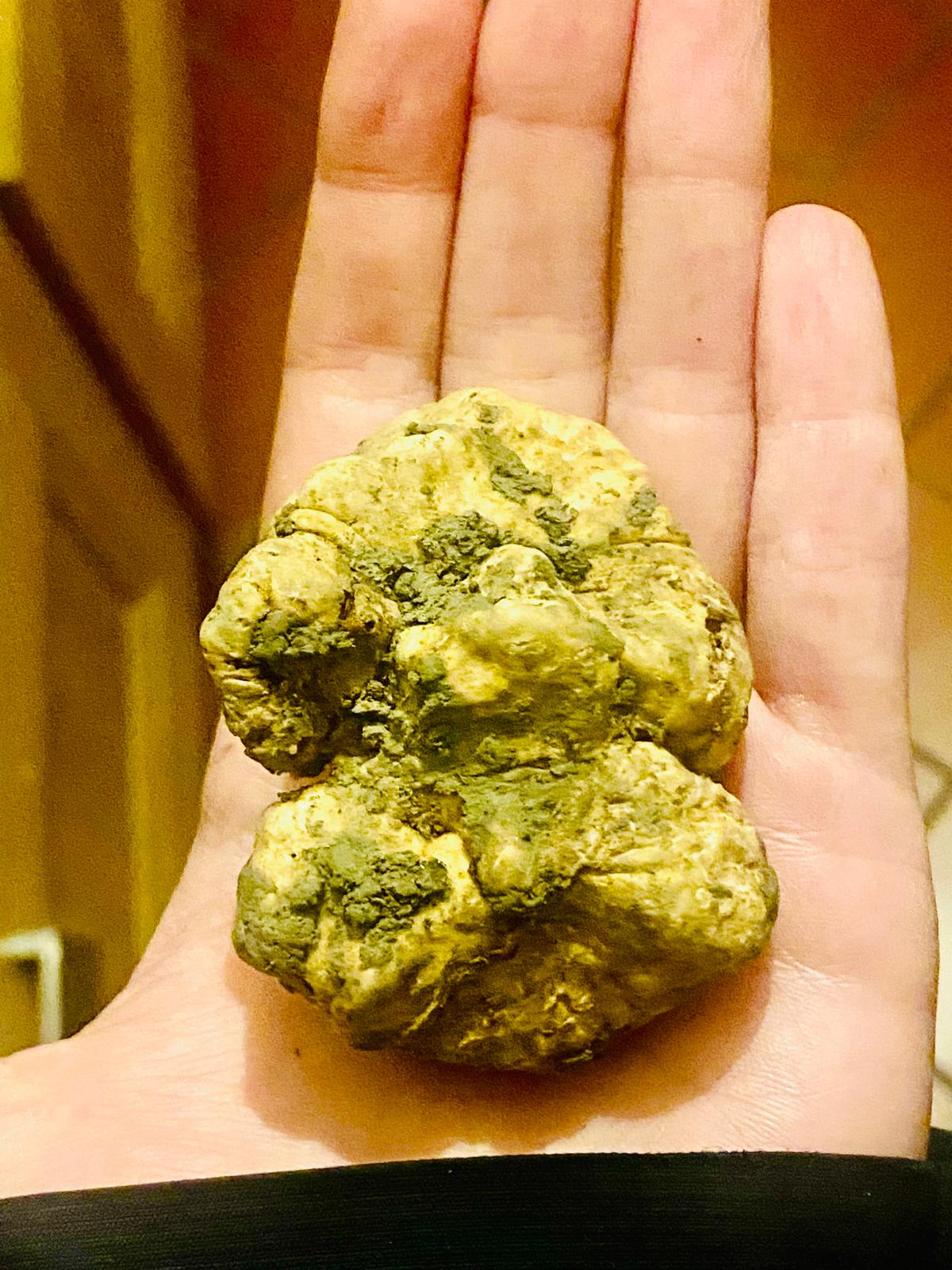 Tartufo Bianco Pregiato