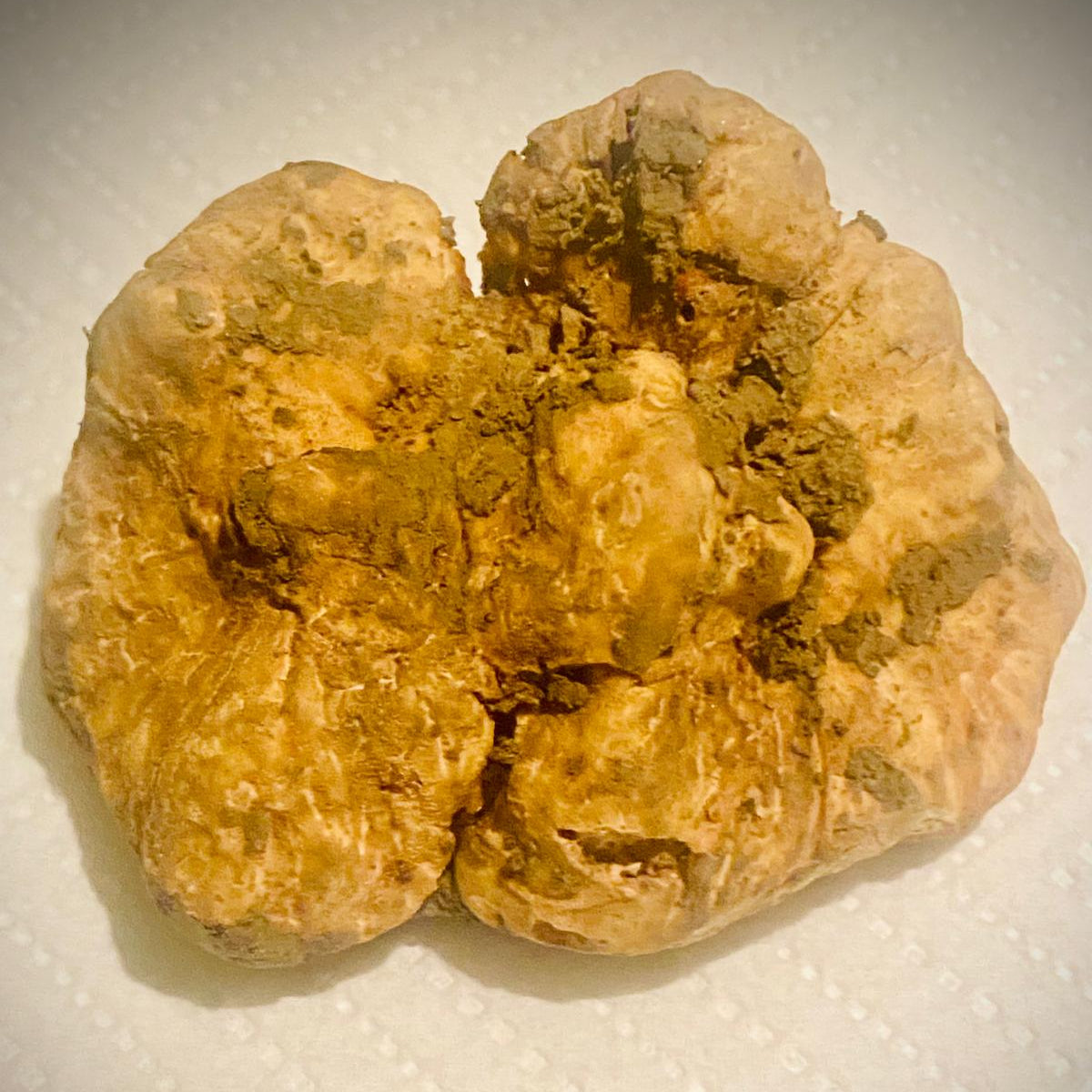 Tartufo Bianco Pregiato