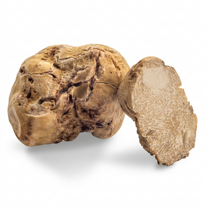 Tartufo Bianco Pregiato